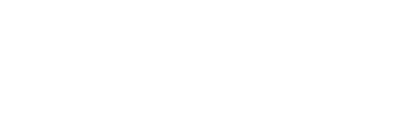 Benchmark Insurance Group, Inc - Logo 800 White